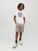 Изображение Шорты Jack & Jones