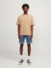 Изображение Шорты Jack & Jones