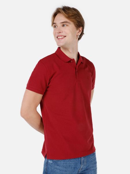 Изображение Поло Colin's