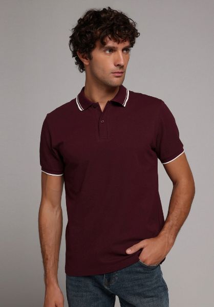 Изображение Поло Colin's