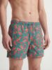 Изображение Плавки Jack & Jones