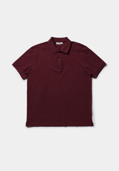 Изображение Поло Colin's