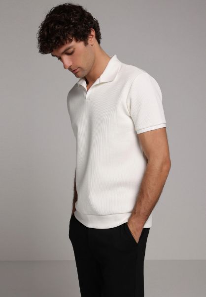 Изображение Поло Colin's