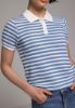 Изображение Поло Colin's