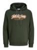 Изображение Джемпер Jack & Jones