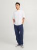 Изображение Брюки Jack & Jones
