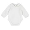 Изображение Боди Chicco